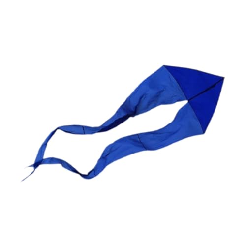 Qianly Power Single Line Kite Flying Toy Leicht zu bewältigen 6,5 m/21,3 Fuß Out, Blau von Qianly