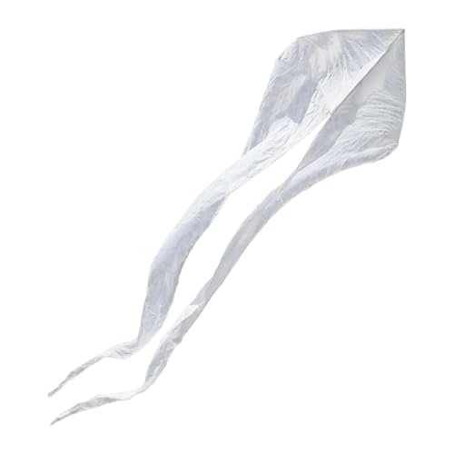 Qianly Power Single Line Kite Flying Toy Leicht zu bewältigen 6,5 m/21,3 Fuß Out, Weiß von Qianly