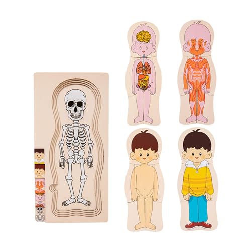 Qianly Puzzle des menschlichen Körpers, Teile des menschlichen Körpers, Puzzle-Spielzeug für das Skelett des menschlichen Körpers, Montessori für Babys, Junge von Qianly