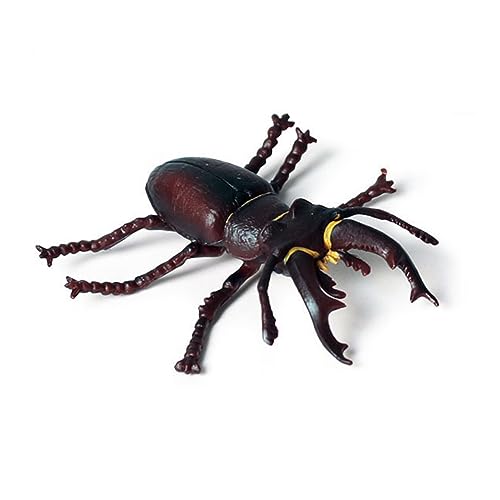 Qiebenav Spinnendekoration, Spinnenhaus, Modell, Ornament, Simulation, Spinne, Kunststofffigur, Kinder, Lernspielzeug, Halloween, empfindliches Spielzeug, realistisches Geschenk, Spinne, Ornament, Bru von Qiebenav