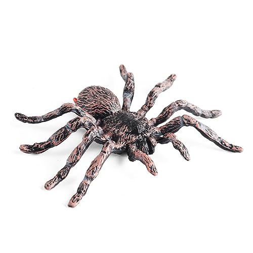 Qiebenav Spinnendekoration, Spinnenhaus, Modell, Ornament, Simulation, Spinne, Kunststofffigur, Kinder, Lernspielzeug, Halloween, zartes Spielzeug, realistisches Geschenk, Spinne, Ornament, Bla von Qiebenav