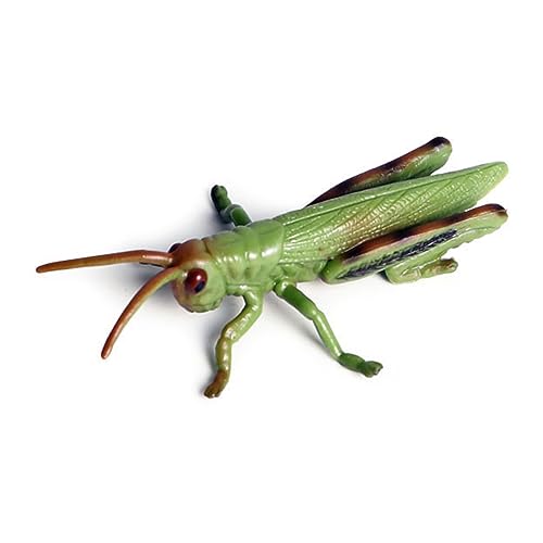 Qiebenav Spinnendekoration, Spinnenhaus, Modell, Ornament, Simulation, Spinne, Kunststofffigur, Kinder, Lernspielzeug, Halloween, zartes Spielzeug, realistisches Geschenk, Spinne, Ornament, Grün von Qiebenav
