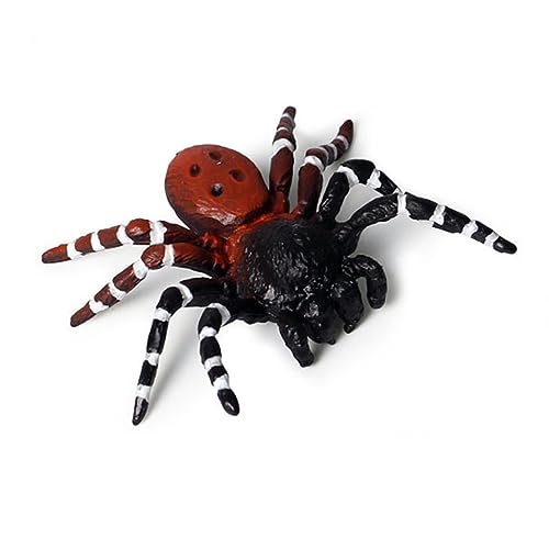 Qiebenav Spinnendekoration, Spinnenhaus, Modell, Ornament, Simulation, Spinne, Kunststofffigur, Kinder, Lernspielzeug, Halloween, zartes Spielzeug, realistisches Geschenk, Spinne, Ornament, Rou von Qiebenav