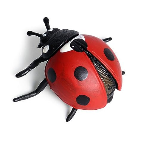 Qiebenav Spinnendekoration, Spinnenhaus, Modell, Ornament, Simulation, Spinne, Kunststofffigur, Kinder, Lernspielzeug, Halloween, zartes Spielzeug, realistisches Geschenk, Spinne, Ornament, Schwarz von Qiebenav
