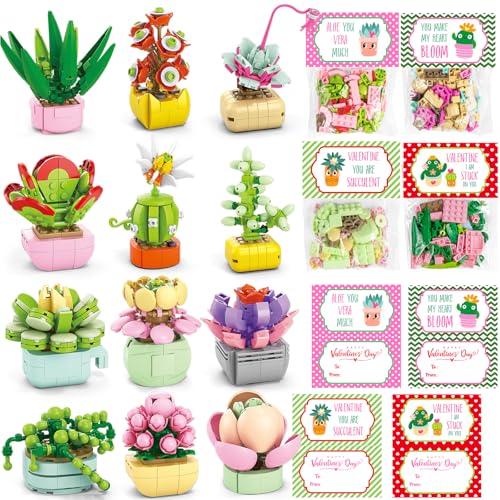 Qinline Ostergeschenke für Kinder 6–12, 24 Stück, Sukkulenten, Pflanzen, Bausteine mit Geschenkkarten für Schule, Klassenzimmer, Großpackung für Jungen, Mädchen, Klasse, Oster-Party, Gastgeschenke, Qinline Ostergeschenke für Kinder 6–12, 24 Stück, Sukkulenten, Pflanzen, Bausteine mit Geschenkkarten für Schule, Klassenzimmer, Großpackung für Jungen, Mädchen, Klasse, Oster-Party, Gastgeschenke, von Qinline