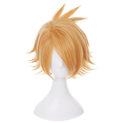 Qixiaan Denki Kaminari Cosplay Kostüm Komplettes Set mit Perücke Anime MHA Cosplay Schwarze Jacke Hose Herren Outfit Halloween Karneval Party Verkleidung Anzug von Qixiaan