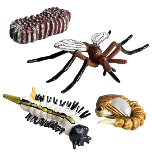 Qizeroty Insekten-Lebenszyklus-Spielzeug, Frühpädagogisches Tierspielzeug – Kreativ Und Unterhaltsam, Fördert Die Kognitiven Fähigkeiten Von Kindern Geeignet Für Kinder Ab 3 Jahren (05) von Qizeroty