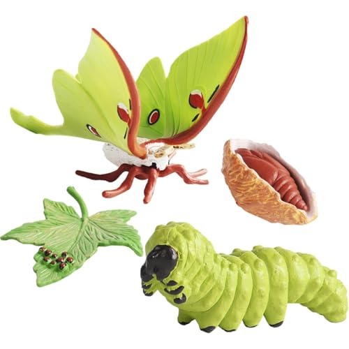 Qizeroty Insekten-Lebenszyklus-Spielzeug, Frühpädagogisches Tierspielzeug – Kreativ Und Unterhaltsam, Fördert Die Kognitiven Fähigkeiten Von Kindern Geeignet Für Kinder Ab 3 Jahren (Motte) von Qizeroty