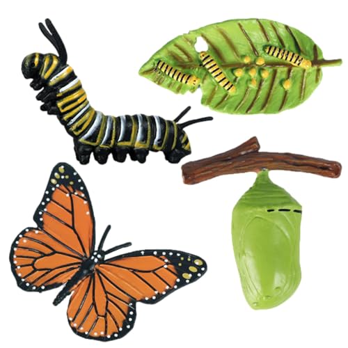 Qizeroty Insekten-Lebenszyklus-Spielzeug, Frühpädagogisches Tierspielzeug – Kreativ Und Unterhaltsam, Fördert Die Kognitiven Fähigkeiten Von Kindern Geeignet Für Kinder Ab 3 Jahren (Schmetterling) von Qizeroty