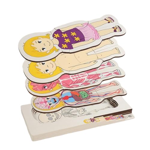 Qoukonao Kleinkind Körper Puzzle - Kleinkinder Holz Menschlicher Körper Puzzles,Pädagogisches Lernspiel Interaktiv Mädchen Vorschule von Qoukonao