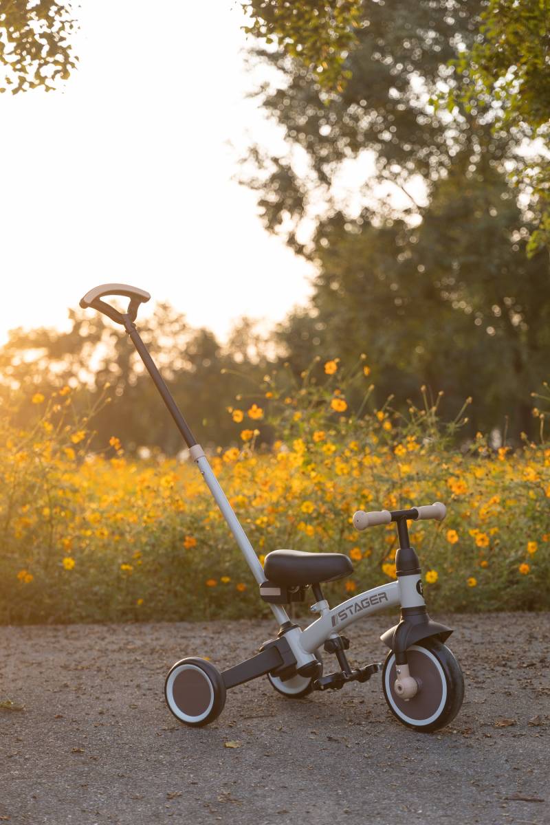 QPlay Stager 3-in-1 Umbaubares Dreirad, Braun von Qplay