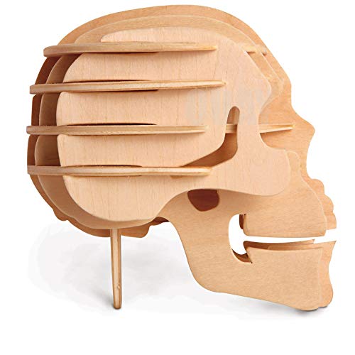 Quay P318 Human Skull Woodcraft Construction Kit Bausatz, Holz, S von Quay