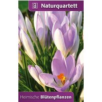 Heimische Blütenpflanzen Heimische Blütenpflanzen von Quelle & Meyer