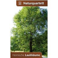 Heimische Laubbäume Heimische Laubbäume von Quelle & Meyer