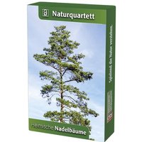 Heimische Nadelbäume von Quelle & Meyer