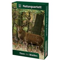 Tiere des Waldes (Kartenspiel) von Quelle & Meyer