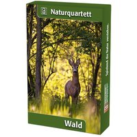 Wald Wald von Quelle & Meyer