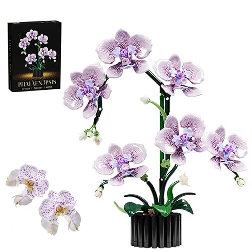 Lila Orchidee Blume Bausteine Bausatz, 619Stück Künstliche Blumensträuße Ziegel Set, Botanische Sammlung Modell für Haus Dekoration, Große Geschenke für Geburtstag und Jahrestag für Sie und Ihn(13115) von QuirkQuest