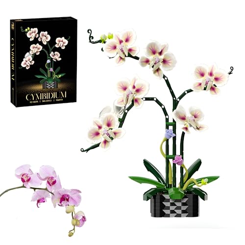 Orchidee Blume Bausteine Bausatz, Botanische Sammlung Modell für Haus Dekoration, Künstliche Floral Klemmbausteine Kit, Große Geschenke für Geburtstag und Jahrestag für Sie und Ihn(736Stück ) von QuirkQuest