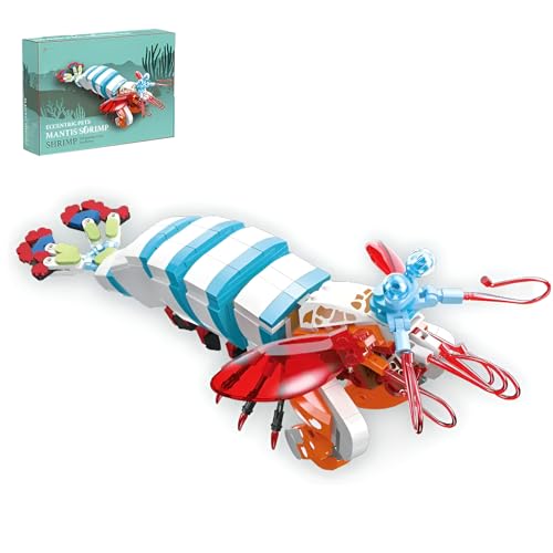 Peacock Mattis Garnelen Bausteine Bausatz, 429Stück STEM Otontodactylus Scyllarus Klemmbausteine Kit, Tier BAU Modell Spielzeug, Ideen Geschenke für Kinder Erwachsene Peacock Mattis Garnelen Bausteine Bausatz, 429Stück STEM Otontodactylus Scyllarus Klemmbausteine Kit, Tier BAU Modell Spielzeug, Ideen Geschenke für Kinder Erwachsene von QuirkQuest