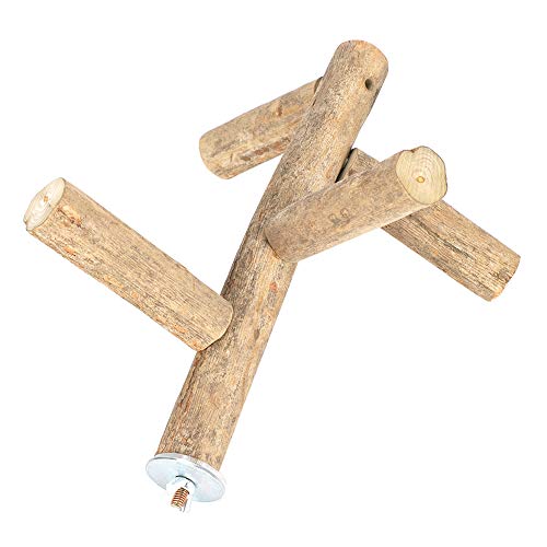 Qukaim Baumwollseil Haustier Papagei Schaukel Hängender Ring Klettern Kauen Beißspielzeug Käfig Akkory Grün Ideal für Papageien und Vögel Qukaim Baumwollseil Haustier Papagei Schaukel Hängender Ring Klettern Kauen Beißspielzeug Käfig Akkory Grün Ideal für Papageien und Vögel von Qukaim