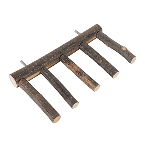 Qukaim Bird Holzleiter Mehrstufige Sitzstange Leiter für Kleine Mittlere Papageien 5 Stufen Krallenschleifspielzeug Holz Ideal für Vogelkäfige und Spielplätze Qukaim Bird Holzleiter Mehrstufige Sitzstange Leiter für Kleine Mittlere Papageien 5 Stufen Krallenschleifspielzeug Holz Ideal für Vogelkäfige und Spielplätze von Qukaim