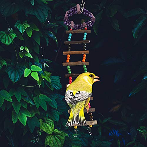 Qukaim Hölzerner Hamster Papagei Haustier Vogel Bunte Kletterleiter Hängebrücke Vögel Spielzeug für kleine Haustiere 50 cm lang ideal für Hamster und Vögel von Qukaim