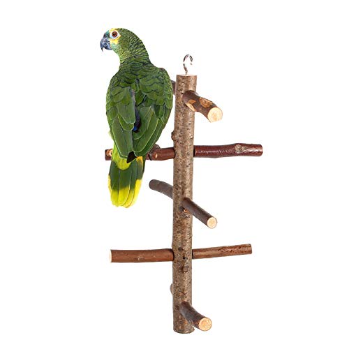 Qukaim Holz Papagei Sitzstangen Käfig Ständer Spielzeug Aktivitätszweige Klettertreppe für Vögel Hängendes Design Ideal für Papageien und kleine Vögel Holz Qukaim Holz Papagei Sitzstangen Käfig Ständer Spielzeug Aktivitätszweige Klettertreppe für Vögel Hängendes Design Ideal für Papageien und kleine Vögel Holz von Qukaim