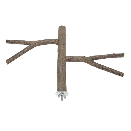 Qukaim Kauspielzeug für Papageien, Maiskolben, beißfest, hängend, Vogelkaukäfigspielzeug für Aras, Graupapageien, Nymphensittiche, Lovebirds, Holz-Sitzstange, sicheres Krallenschleifen Qukaim Kauspielzeug für Papageien, Maiskolben, beißfest, hängend, Vogelkaukäfigspielzeug für Aras, Graupapageien, Nymphensittiche, Lovebirds, Holz-Sitzstange, sicheres Krallenschleifen von Qukaim