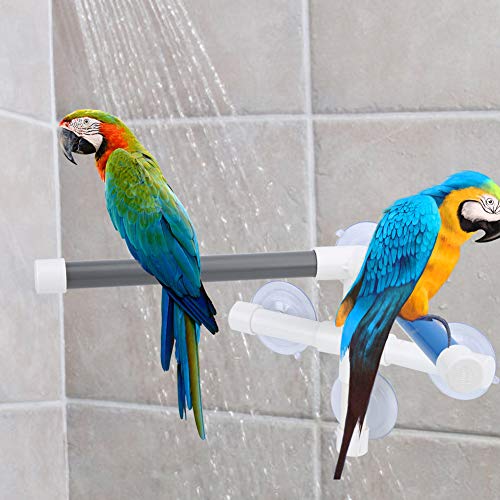 Qukaim PVC Vogeltränke Dusche Sitzstange Ständer mit Saugnapf für Papagei Aras Vogelbadstange 15 x 10 cm Einfach zu installieren Ideal für den Innen- und Außenbereich von Qukaim