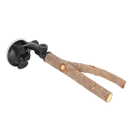 Qukaim Papagei Futtersuche Schreddern Spielzeug Weihnachten Sola Kugeln Hängespielzeug für Nymphensittiche Sittich Conure 15 cm Holzast Sitzstange mit Saugnäpfen für Vogeltraining von Qukaim