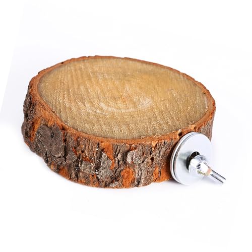 Qukaim Papagei Haustier Vogelkäfig Kauspielzeug Holz Ständer Plattform für Sittich Nymphensittich Rundes Design Kauspielzeug Ideal für Vogelspiel und Bewegung Qukaim Papagei Haustier Vogelkäfig Kauspielzeug Holz Ständer Plattform für Sittich Nymphensittich Rundes Design Kauspielzeug Ideal für Vogelspiel und Bewegung von Qukaim