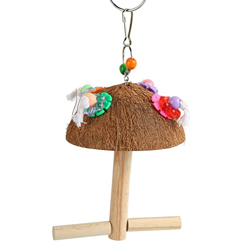 Qukaim Papagei Kokosnussschalen-Schaukelständer, multifunktionales bissfestes Kauspielzeug, sichere Kokosnussstange für Vögel, ideal für Papageien und kleine Vögel, 15 cm Durchmesser Qukaim Papagei Kokosnussschalen-Schaukelständer, multifunktionales bissfestes Kauspielzeug, sichere Kokosnussstange für Vögel, ideal für Papageien und kleine Vögel, 15 cm Durchmesser von Qukaim