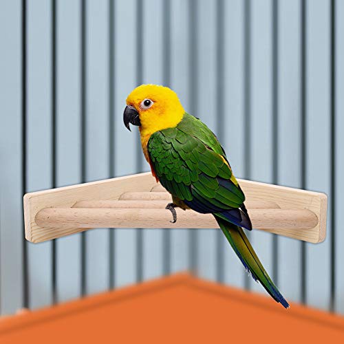 Qukaim Papagei Stehplattform Rack Vogelklettern Holz Ständer Käfig Spielzeug Ideal für Papageien und andere kleine Vögel, Design, einfach zu bedienen Qukaim Papagei Stehplattform Rack Vogelklettern Holz Ständer Käfig Spielzeug Ideal für Papageien und andere kleine Vögel, Design, einfach zu bedienen von Qukaim
