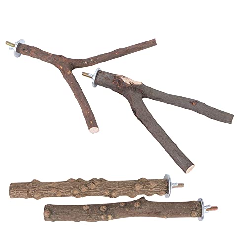 Qukaim Papagei Stehstab Pepper Holz Vogelkäfig Kletterständer Set Vogelakkories für Papageien Pfoten Sitzstangen Beißen Krallen Schleifen Spielzeug 40cm Lang Qukaim Papagei Stehstab Pepper Holz Vogelkäfig Kletterständer Set Vogelakkories für Papageien Pfoten Sitzstangen Beißen Krallen Schleifen Spielzeug 40cm Lang von Qukaim