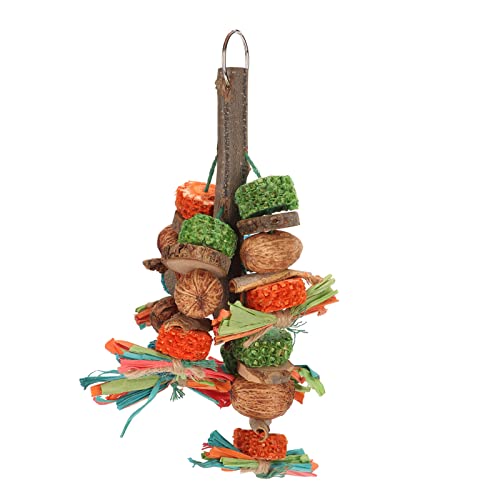 Qukaim Papageienkauspielzeug, mehrfarbige Maiskolben mit Holzblöcken und Nüssen, hängendes Vogelbeißspielzeug zum Kauen und Schnabelübung, geeignet für Papageien und andere Haustiervögel Qukaim Papageienkauspielzeug, mehrfarbige Maiskolben mit Holzblöcken und Nüssen, hängendes Vogelbeißspielzeug zum Kauen und Schnabelübung, geeignet für Papageien und andere Haustiervögel von Qukaim