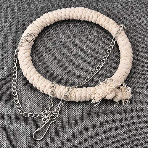 Qukaim Papageienspielzeug, Baumwollseil Schaukelständer Kletterleiter Ring, Training Beißspielzeug, weiches Bett, Vogelspielzeug für Papageien, ideal für Aktivität und Bewegung Qukaim Papageienspielzeug, Baumwollseil Schaukelständer Kletterleiter Ring, Training Beißspielzeug, weiches Bett, Vogelspielzeug für Papageien, ideal für Aktivität und Bewegung von Qukaim