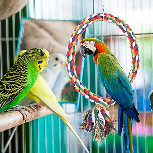 Qukaim Runder Kreis Kletterringe, buntes Baumwollseil Schaukel Haustier Vogel Sitzstange, Beißendes Stehspielspielzeug, ideal für kleine Vögel, 30 cm Durchmesser Qukaim Runder Kreis Kletterringe, buntes Baumwollseil Schaukel Haustier Vogel Sitzstange, Beißendes Stehspielspielzeug, ideal für kleine Vögel, 30 cm Durchmesser von Qukaim