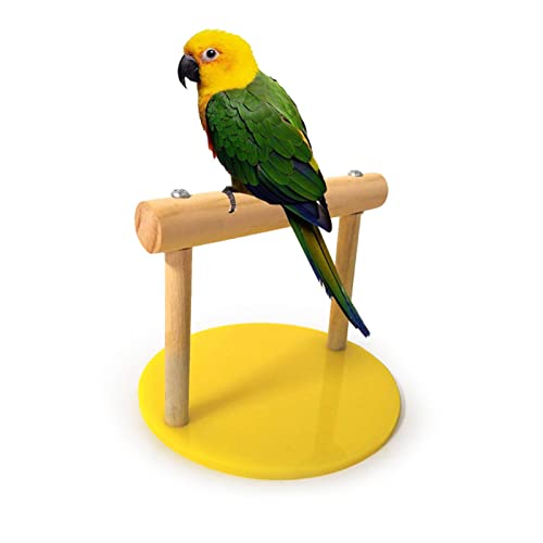Qukaim Vogel Holz Sitzstange Stehrahmen Papagei Kauen Beißspielzeug mit Kunststoffsockel Vogelstange für Käfig Accories 63,5 cm lang Geeignet für kleine bis mittelgroße Vögel Qukaim Vogel Holz Sitzstange Stehrahmen Papagei Kauen Beißspielzeug mit Kunststoffsockel Vogelstange für Käfig Accories 63,5 cm lang Geeignet für kleine bis mittelgroße Vögel von Qukaim