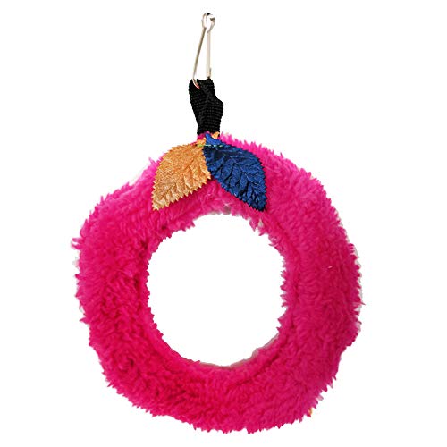 Qukaim Vogel-Kauspielzeug, hängende Ringschaukel für Papageien, Übungs- und Unterhaltungsspielzeug, ideal für Rosige Papageien, Design, ansprechende Spielaktivität Qukaim Vogel-Kauspielzeug, hängende Ringschaukel für Papageien, Übungs- und Unterhaltungsspielzeug, ideal für Rosige Papageien, Design, ansprechende Spielaktivität von Qukaim