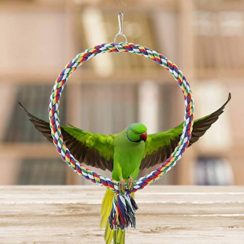 Qukaim Vogel Papagei Kreis Ring Seil Sitzstange Ständer Schaukel Kauspielzeug Kleiner Vogelkäfig Dekoration Akkory Papagei Schaukel Vogelseil Sitzstange Ideal zum Kauen und Spielen Qukaim Vogel Papagei Kreis Ring Seil Sitzstange Ständer Schaukel Kauspielzeug Kleiner Vogelkäfig Dekoration Akkory Papagei Schaukel Vogelseil Sitzstange Ideal zum Kauen und Spielen von Qukaim
