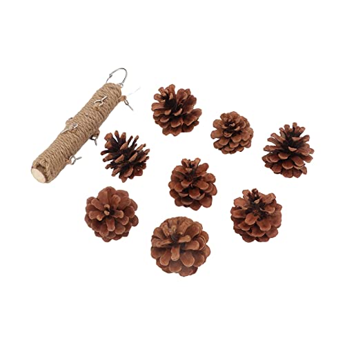 Qukaim Vogelkäfig-Dekoration aus Holz mit bunten Perlen und Metallhaken, 20 cm, ideal zum Kauen und Schnabelschleifen, Vogelkäfig-Akkory Qukaim Vogelkäfig-Dekoration aus Holz mit bunten Perlen und Metallhaken, 20 cm, ideal zum Kauen und Schnabelschleifen, Vogelkäfig-Akkory von Qukaim