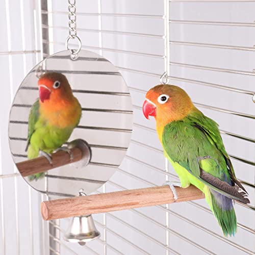 Qukaim Vogelkäfigspiegel aus Edelstahl mit Glocke, hängendes Beißspielzeug für Papageien, Papageienspiegel, Vogelspiegel, Kettentyp Qukaim Vogelkäfigspiegel aus Edelstahl mit Glocke, hängendes Beißspielzeug für Papageien, Papageienspiegel, Vogelspiegel, Kettentyp von Qukaim
