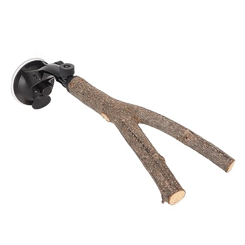 Qukaim Vogelkauspielzeug, Schnabelschleifspielzeug aus Holz mit Haken für mittelgroße große Papageien, bunt, 20 cm, interaktiver Sitzstangenständer mit Saugnäpfen für kleine, mittelgroße Vögel Qukaim Vogelkauspielzeug, Schnabelschleifspielzeug aus Holz mit Haken für mittelgroße große Papageien, bunt, 20 cm, interaktiver Sitzstangenständer mit Saugnäpfen für kleine, mittelgroße Vögel von Qukaim