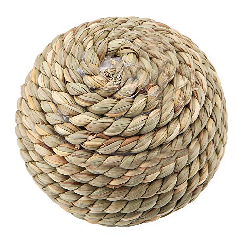 Qukaim Vogelpapagei Kokosnussschale Schaukel Spielzeug 10cm Kauspielzeug für Papageien Kaninchen Käfig Hängende Übungsball Draht und Kokosnussschale Design Qukaim Vogelpapagei Kokosnussschale Schaukel Spielzeug 10cm Kauspielzeug für Papageien Kaninchen Käfig Hängende Übungsball Draht und Kokosnussschale Design von Qukaim