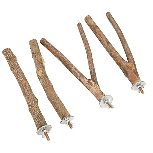Qukaim Vogelsitzstange Ständer Set, Holzkäfig Sitzstange Ständer für Papageien, Klettern und Spielen, Ideal für Vogelkäfige, Holzkonstruktion, Einfach zu Installieren Qukaim Vogelsitzstange Ständer Set, Holzkäfig Sitzstange Ständer für Papageien, Klettern und Spielen, Ideal für Vogelkäfige, Holzkonstruktion, Einfach zu Installieren von Qukaim
