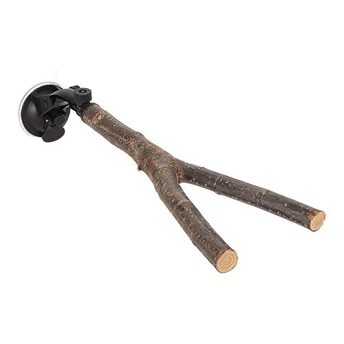 Qukaim Vogelzweig Sitzstange Ständer 25 cm Holz Papagei Sitzstange mit Saugnäpfen Interaktive Trainingssstange für Kleine Mittlere Vögel Verhindern Rutschen Qukaim Vogelzweig Sitzstange Ständer 25 cm Holz Papagei Sitzstange mit Saugnäpfen Interaktive Trainingssstange für Kleine Mittlere Vögel Verhindern Rutschen von Qukaim