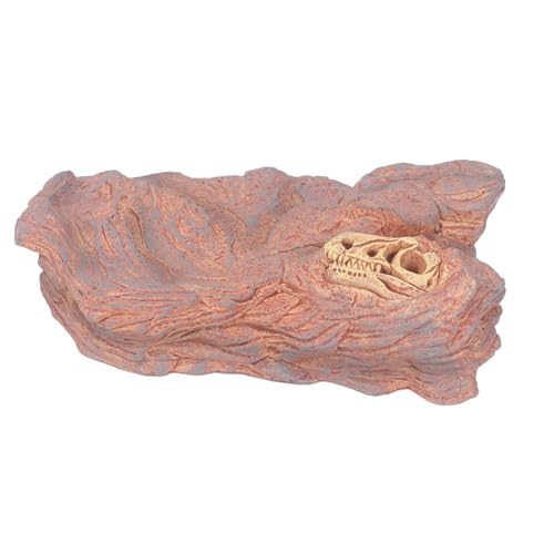 Qukaim Wildlife Dinosaurier Landschaft Modell Wildlife Landschaft Modell, Hohe Simulation Realistisches Statisches Landschaftsmodell für Heimdekoration, Dinosaurier Schädel Plattform, 30 x 20 x 15 cm Qukaim Wildlife Dinosaurier Landschaft Modell Wildlife Landschaft Modell, Hohe Simulation Realistisches Statisches Landschaftsmodell für Heimdekoration, Dinosaurier Schädel Plattform, 30 x 20 x 15 cm von Qukaim