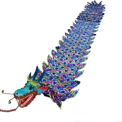 HXR Chinesischer Drachentanz Band 3D Chinesische Bunte Drachentanz-Luftschlangen aus Seide, Outdoor-Fitness-Gymnastikgürtel mit Drachenaufdruck, tragbares Spielgerät for Erwachsene Outdoor Sport Fitn von Qunine