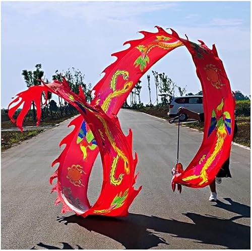 HXR Chinesischer Drachentanz Band 3D Chinesische Drachen-Druck-Tanz-Luftschlangen, bunte Seiden-Drachen-Tanz-Luftschlangen, Erwachsene KinderSpin Swing Sports Fitness Ribbon Outdoor Sport Fitnessgerä von Qunine
